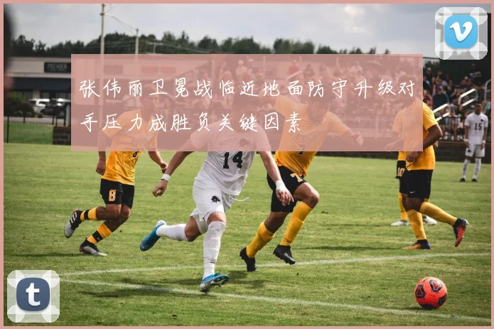 张伟丽卫冕战临近地面防守升级对手压力成胜负关键因素