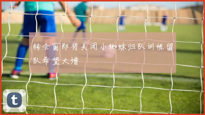 转会窗即将关闭小蜘蛛归队训练留队希望大增